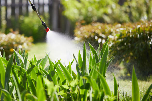 Tamper-Resistant Bait Stations for Rodents in Elkhorn