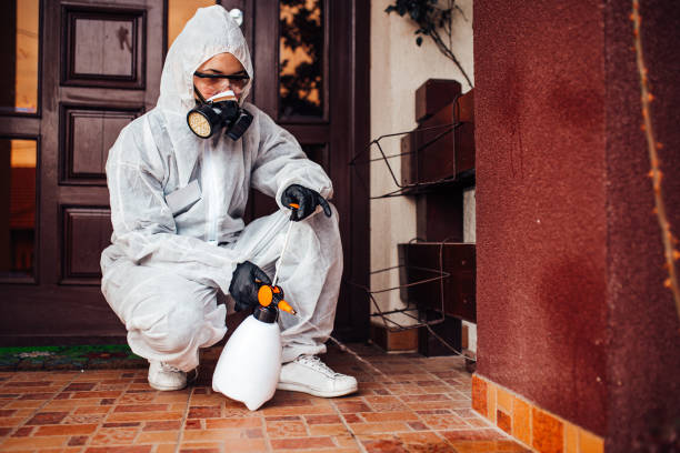 Attic and Crawl Space Rodent Treatment in Elkhorn